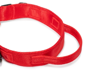 Preview: Halsband Fidlock®-Magnetverschluss mit Griff - rot